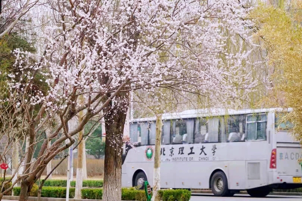 School bus